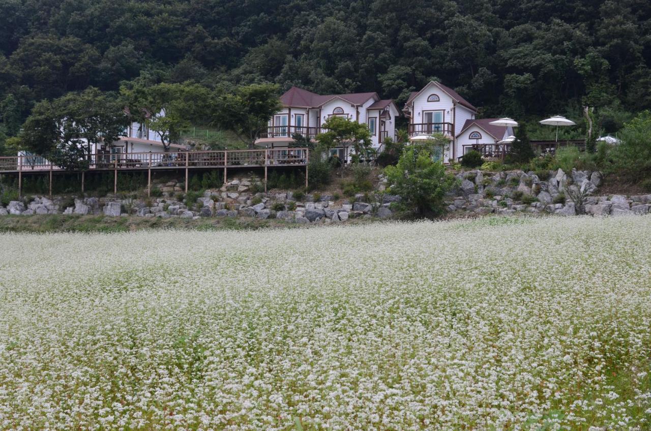 Forest Of Color Pension Hongcheon Exterior photo