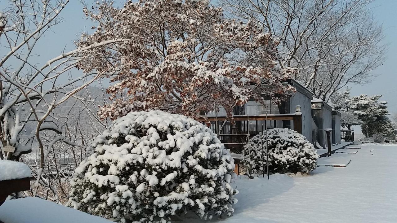 Forest Of Color Pension Hongcheon Exterior photo