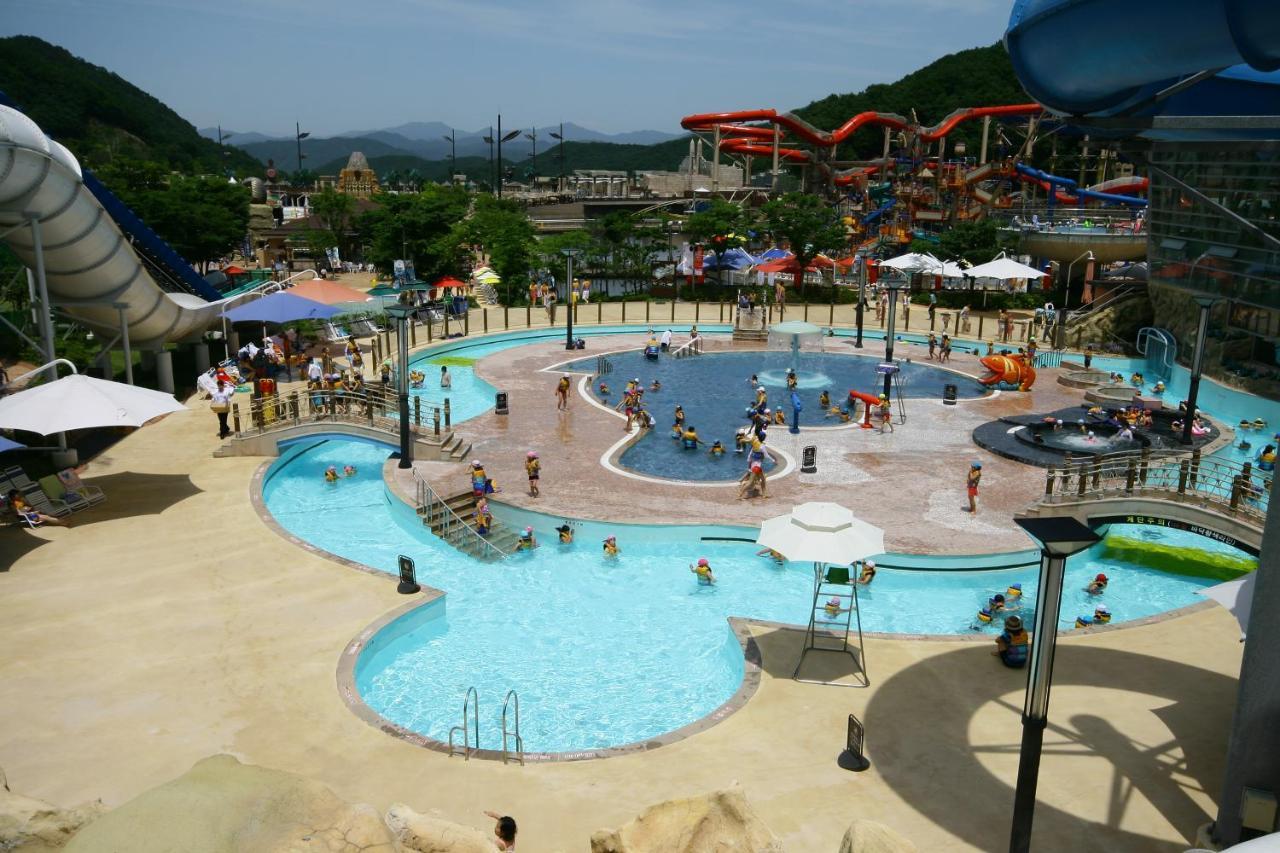 Forest Of Color Pension Hongcheon Exterior photo